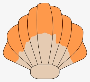 Shell Clipart Transparent Background - Sea Shell Clip Art #1712837
