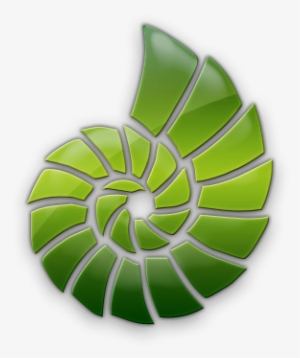 Green Sea Shells #1712870