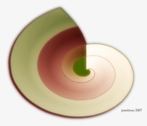 Seashell3 - Circle #1713008 Seashell3 - Circle #1713008