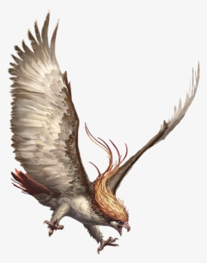 Pidgeot Arvalis - Arvalis Pokemon Pigiot #1714490