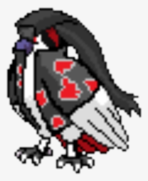Ninja Pidgeot - Rockhopper Penguin #1714512