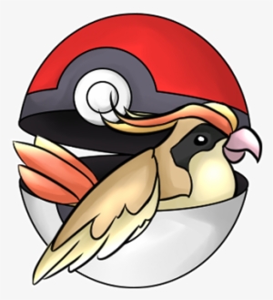 Share - Pidgeot #1714655