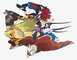 Pidgeot Shiny #1714827