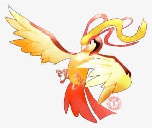 018 Pidgeot - Macaw #1715007