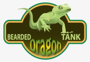 Bearded Dragons #1715363