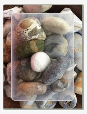 Pebble #1715467