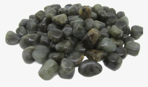 Labradorite Tumbled Stones 100gm Labradorite Tumbled - Pebble #1715490