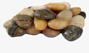 Mixed Riverstone Pebbles - Pebble #1715544
