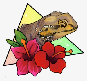 Magical Bearded Dragon - Bearded Dragon And Sloth #1715545