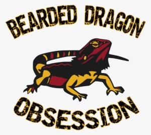 Bearded Dragon Obsession #1715606