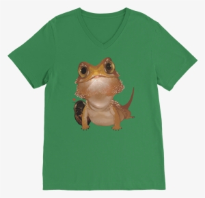 Ct006 Bearded Dragon And Cockroach Brown ﻿men's V Neck - Shirt #1715730