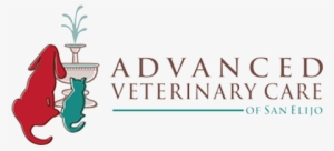 Considerations Before Getting A Bearded Dragon - Advanced Veterinary Care Of San Elijo #1715830