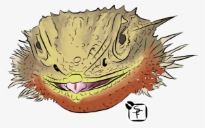 Bearded Dragons #1715861