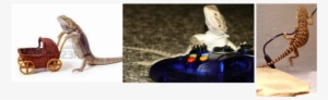 But Sadly The Little Bearded Dragon Sally Got Adopted - Game Controller #1716535