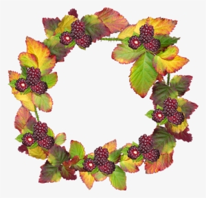 Leaves, Wreath, Frame, Border Autumn, Fall, Berries - Autumn Fall Png #1717151