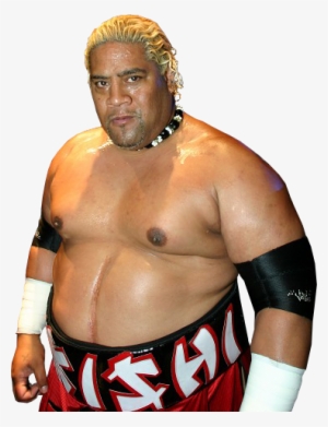 Rikishi Wrestler #1717248
