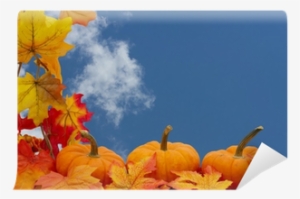 New Orleans In October #1717524