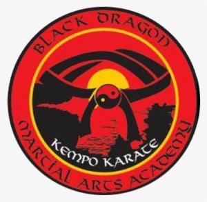 Black Dragon Martial Arts Academy - Bem Fis Um #1717984