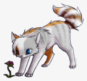 Flower - Warriors #1718623