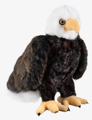 More Views - Eagle Plush #1720556