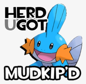 Photo - Mudkip #1720998