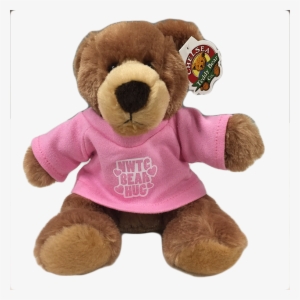 Plush Barney Bear Thumbnail - Northeast Wisconsin Technical College Bookstore #1721672