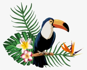 Transparent For Tropical Plant Animals - Animales Tropicales Con Fondo Transparente #1721860