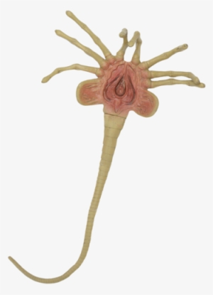 Alien Face Hugger Prop - Alien Facehugger #1723606