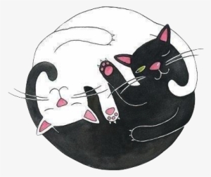 Drawn Black Cat Tumblr Transparent - Could Spend All 9 Lives With You #1724086