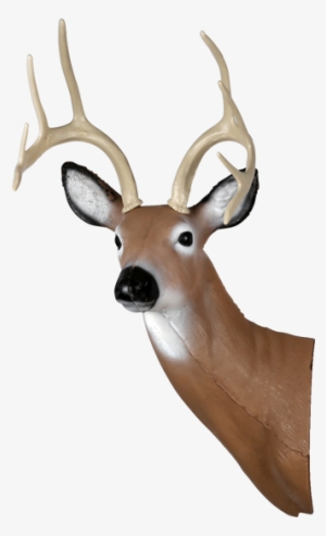 Large Alert Deer Head - Deer Head Transparent #1724348