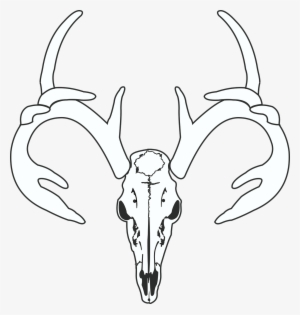 Deer Skull Hunt - Gambar Tengkorak Kepala Rusa #1724548