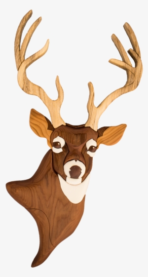 Related Posts - Deer #1724789
