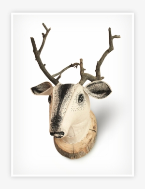 Deer #1724813
