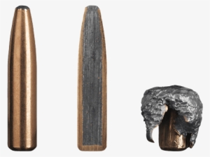 Deerhead - Sako Super Hammerhead 30 06 Ballistic #1724916