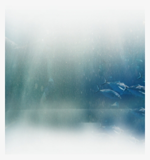 Image Description - Underwater #1725385