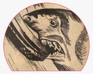 Blade Vault Zoom Detail Shark Shark Attack #1725607