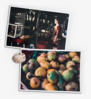 Mont Choisy3 - Kiwifruit #1725699