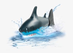 Shark Attack - Radio Control #1725701
