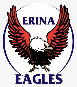 Football Links #1727449 Football Links #1727449