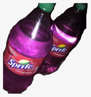 Activist Codeine #1728403