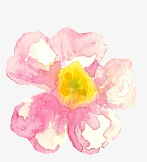 Rosa Dumalis #1728626