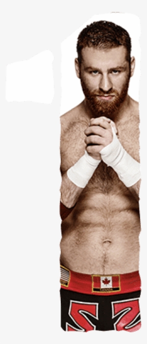 Sami Zayn - Standing #1731467