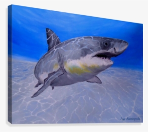 Shark Art - Painting #1731571