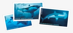 Photo Of The Sharks Stamps #1731990