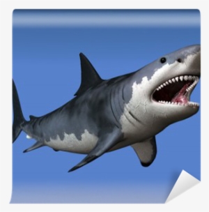 Great White Shark #1732017