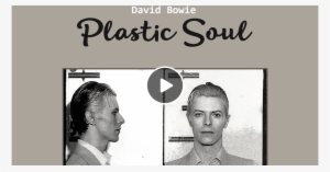 Society Of The Prevention Of Cruelty #1733504