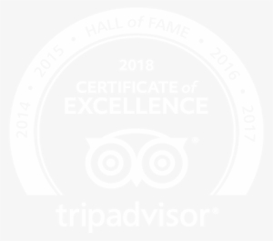 What's On Newsletter - Tripadvisor Hall Of Fame 2018 #1734405