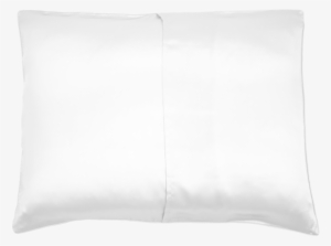 100% Mulberry Silk Contemporary Pillow Cover - Mulberry #1734574