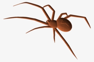 Blackwidow Spider - Spider #1735032