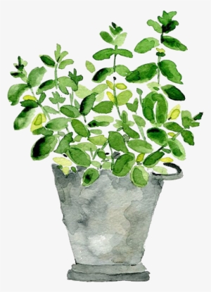 Report Abuse - Plant Watercolor Art #1735136
